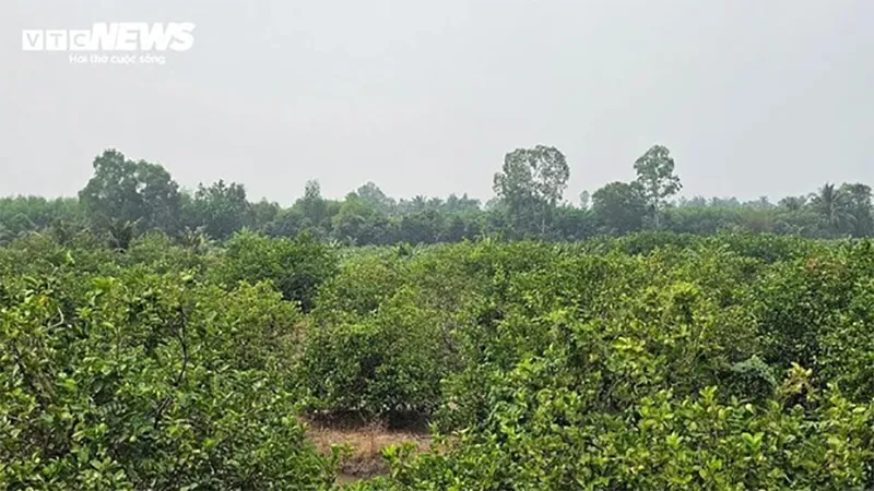 loi-ke-rung-minh-cua-chu-quan-tiep-xuc-4-gio-voi-nghi-pham-gay-an-o-hoc-mon-de-lo-1-chi-tiet-la-3