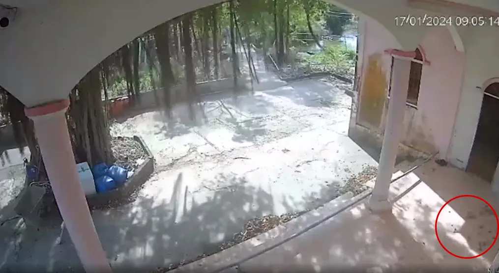 camera-bat-tron-giay-phut-am-anh-trong-vu-3-tho-lan-o-ca-mau-mat-tich-sau-tieng-no-manh-4