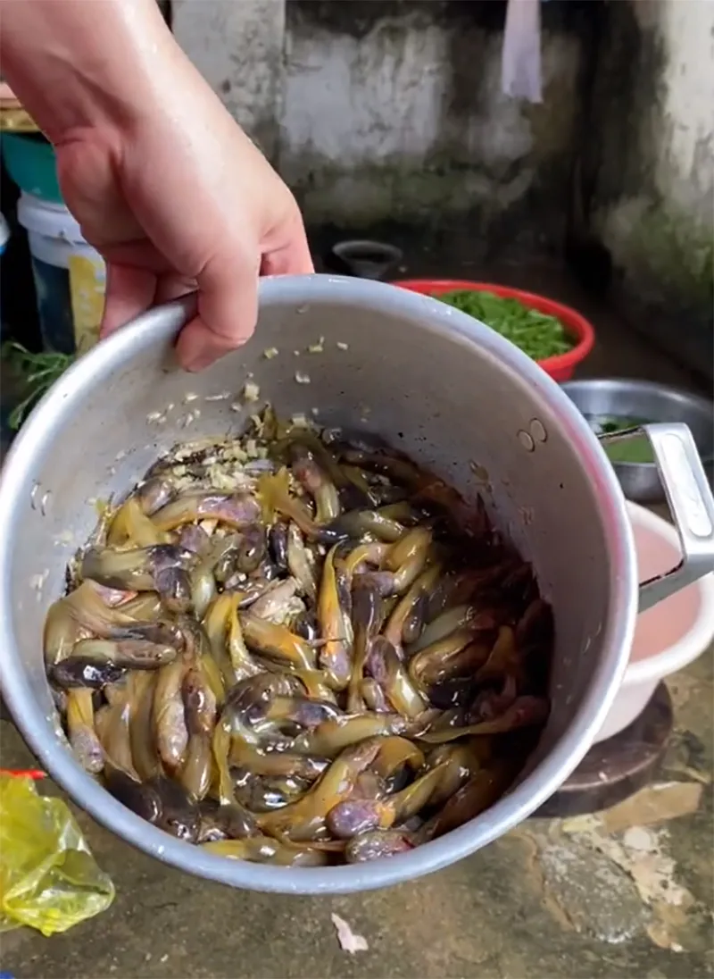 canh-bu-bu-la-gi-ma-khien-nguoi-xem-am-anh-con-hon-ca-hot-vit-lon-4