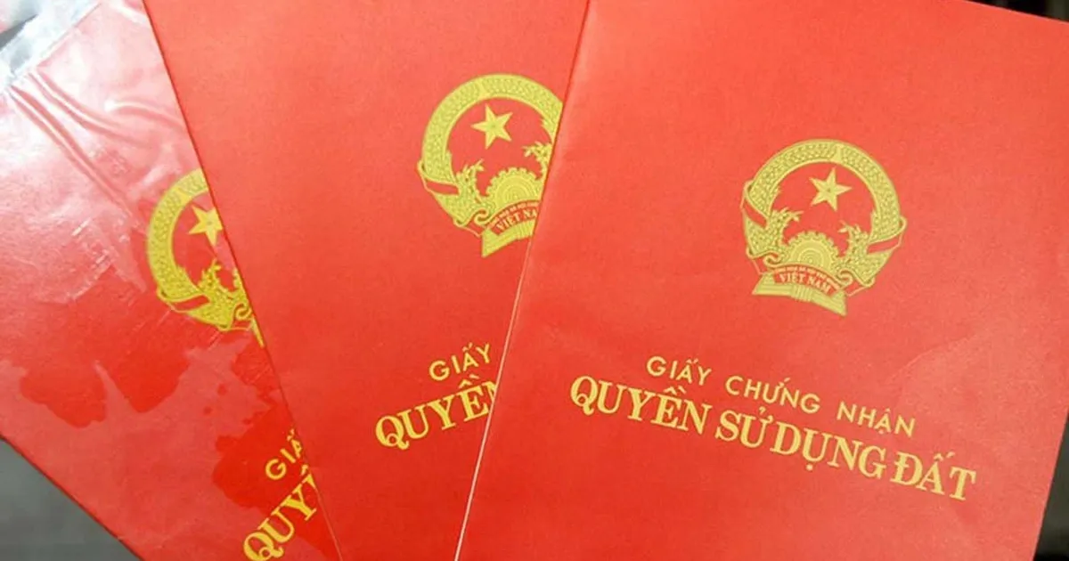 tu-nam-2025-se-khong-con-duoc-goi-la-so-do-va-so-hong-nua-2