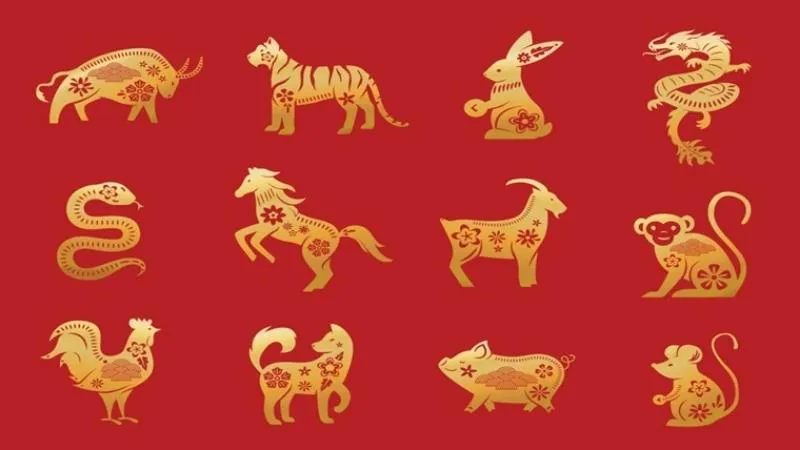 chuyen-gia-phong-thuy-trung-quoc-du-doan-van-may-12-con-giap-nam-giap-thin-2024-tuoi-ty-thang-tien-tuoi-thin-can-trong-2