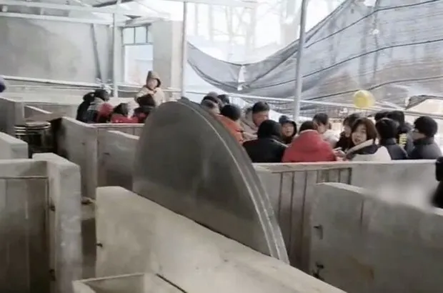 doc-la-dam-cuoi-duoc-to-chuc-trong-chuong-heo-nghe-ly-do-xong-ai-cung-gat-dau-dong-cam-1