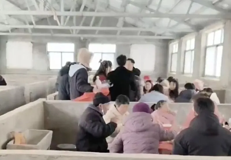 doc-la-dam-cuoi-duoc-to-chuc-trong-chuong-heo-nghe-ly-do-xong-ai-cung-gat-dau-dong-cam-2