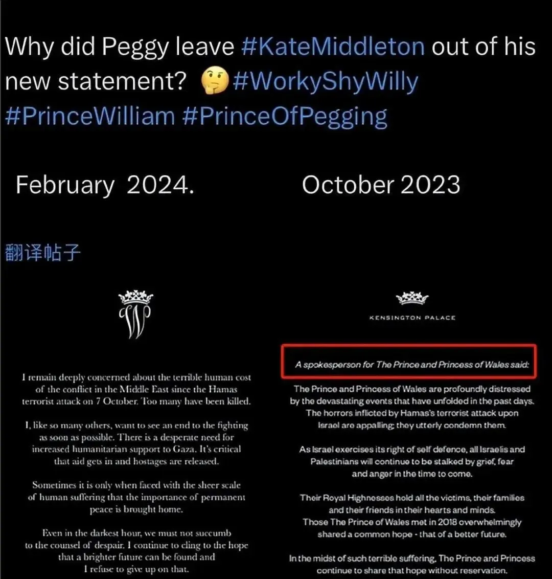 cong-nuong-kate-da-bien-mat-65-ngay-va-loat-chi-tiet-buon-tren-mang-11