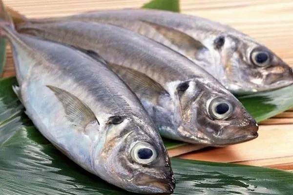 dau-mat-do-tuyet-doi-phai-tranh-xa-7-thu-do-5