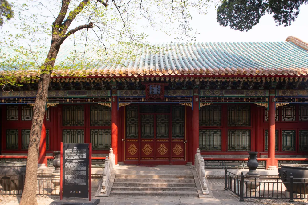 can-long-xay-quyen-can-trai-de-duong-gia-nhung-khong-o-la-vi-sao-1