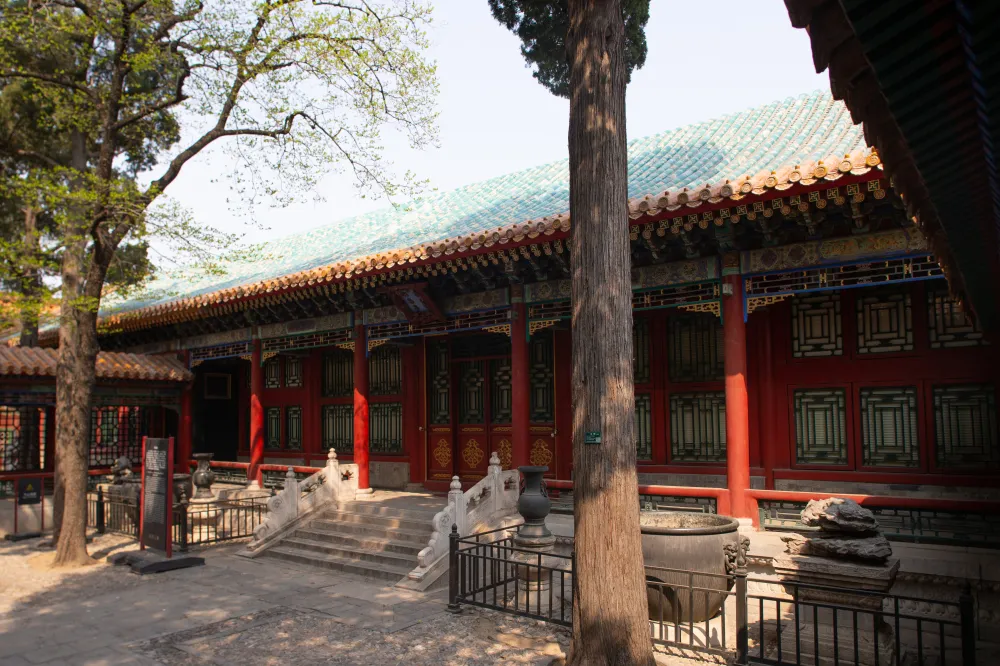 can-long-xay-quyen-can-trai-de-duong-gia-nhung-khong-o-la-vi-sao-2