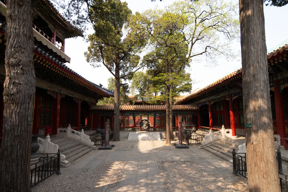 can-long-xay-quyen-can-trai-de-duong-gia-nhung-khong-o-la-vi-sao-3