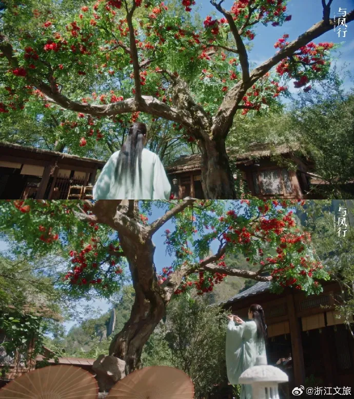 dia-diem-trong-phim-trieu-le-dinh-ai-cung-checkin-1