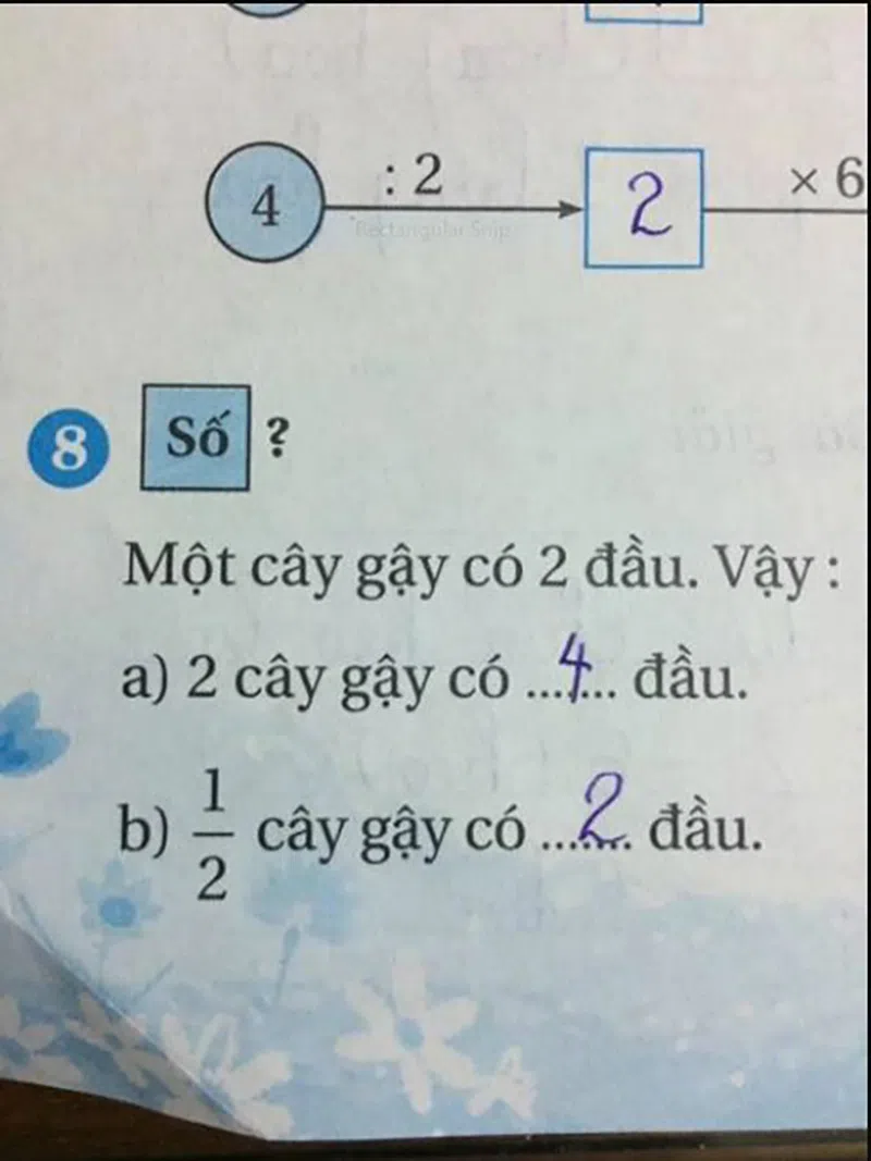 bai-toan-tieu-hoc-mot-nua-cay-gay-co-may-dau-gay-tranh-cai-1