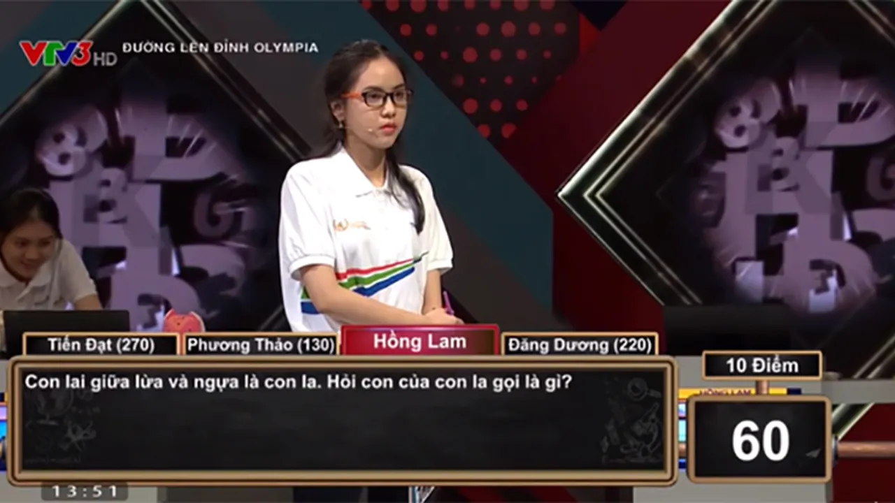 cau-do-con-lai-giua-ngua-va-lua-la-con-la-hoi-con-cua-con-la-goi-la-gi-gay-sot-tren-olympia-3