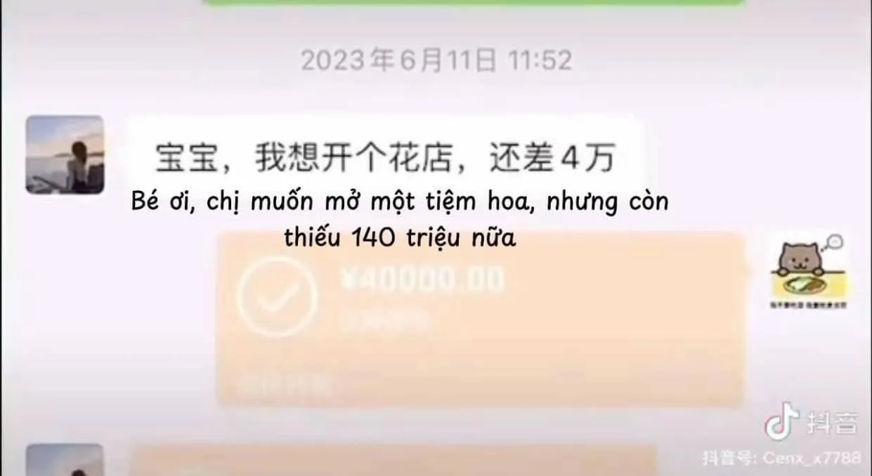 meo-beo-trung-quoc-va-tom-tat-toan-bo-su-viec-khien-coi-mang-xon-xao-6