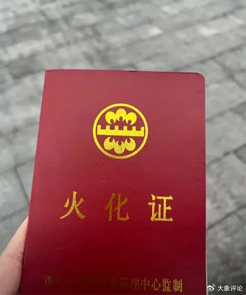 chi-gai-meo-beo-vach-tran-dam-truc-khong-hoa-giai-7