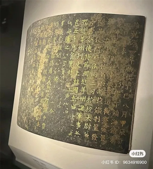 gia-toc-ho-hiem-co-kim-bai-mien-tu-va-1-nguoi-tung-lam-vua-1