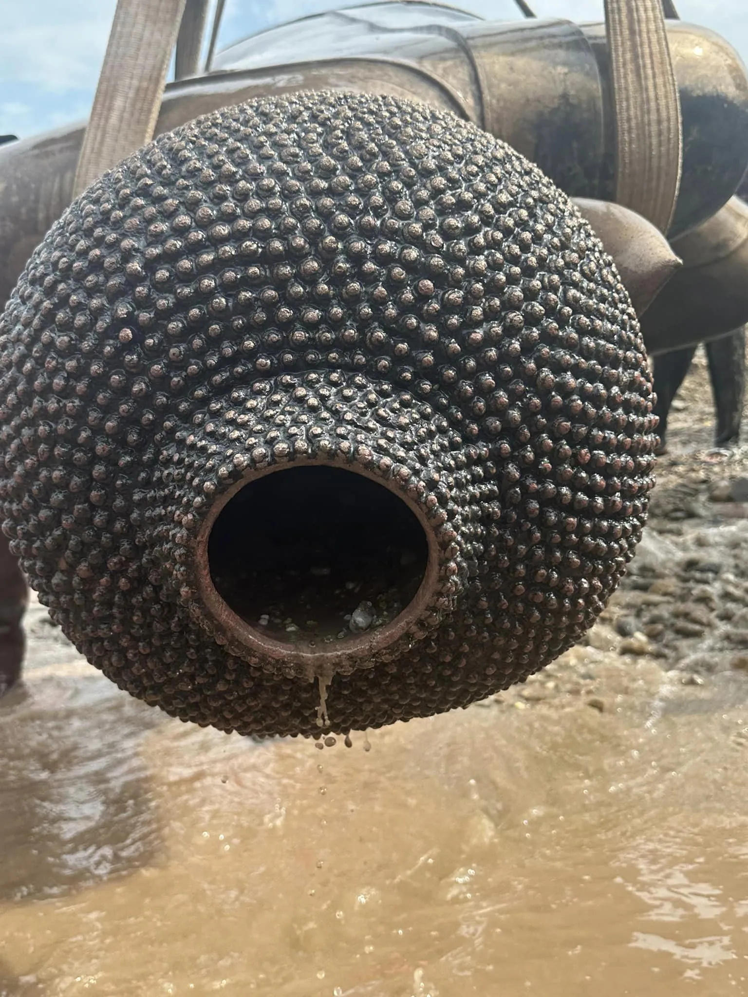 tim-thay-tuong-phat-1000-nam-tuoi-o-giua-song-me-kong-2