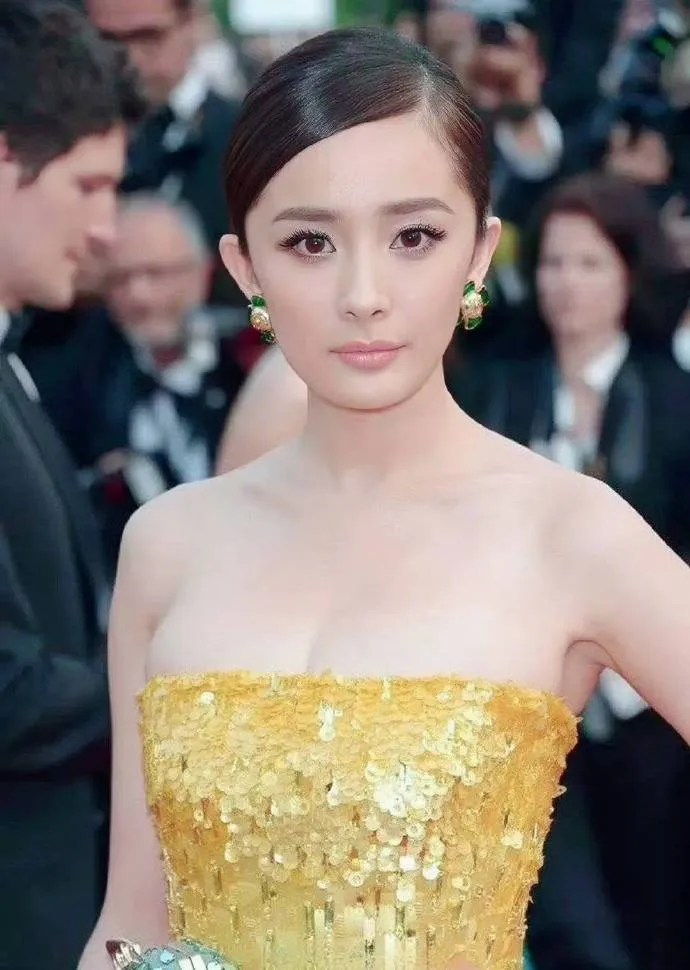 vi-sao-trieu-le-dinh-bi-cam-den-lhp-cannes-2024-6