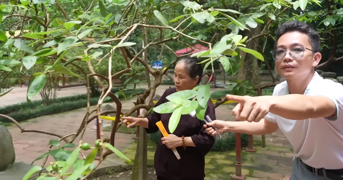 su-that-dang-sau-cay-oi-cuoi-khu-bi-cu-let-o-thanh-hoa-1