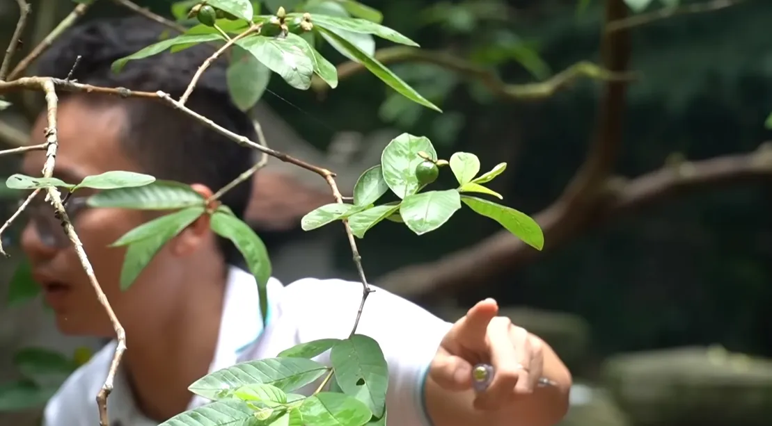 su-that-dang-sau-cay-oi-cuoi-khu-bi-cu-let-o-thanh-hoa-2