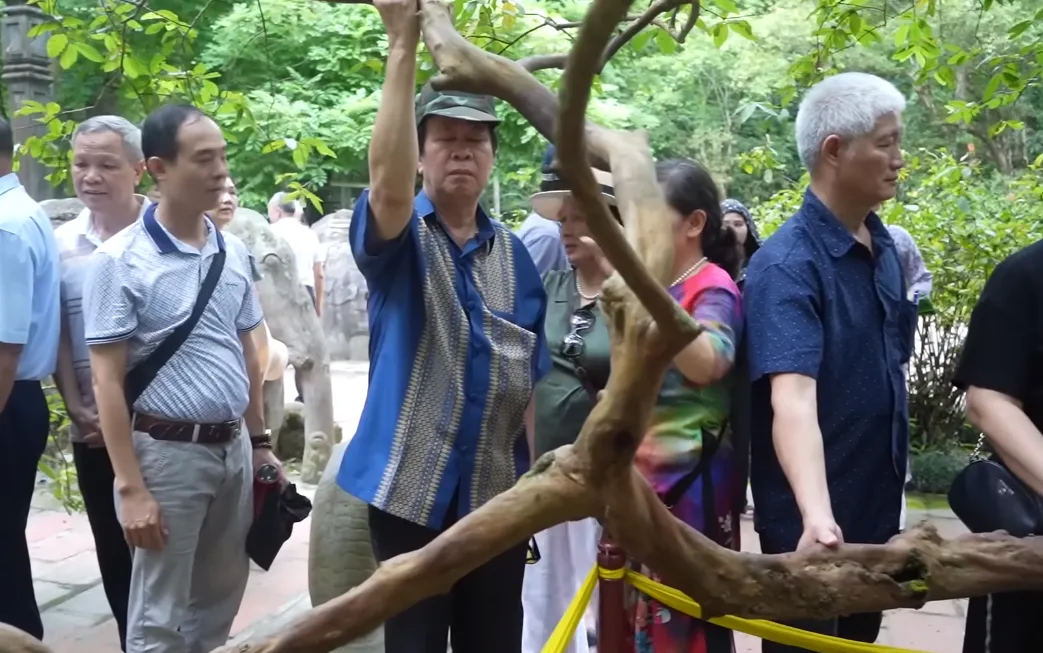 su-that-dang-sau-cay-oi-cuoi-khu-bi-cu-let-o-thanh-hoa-3