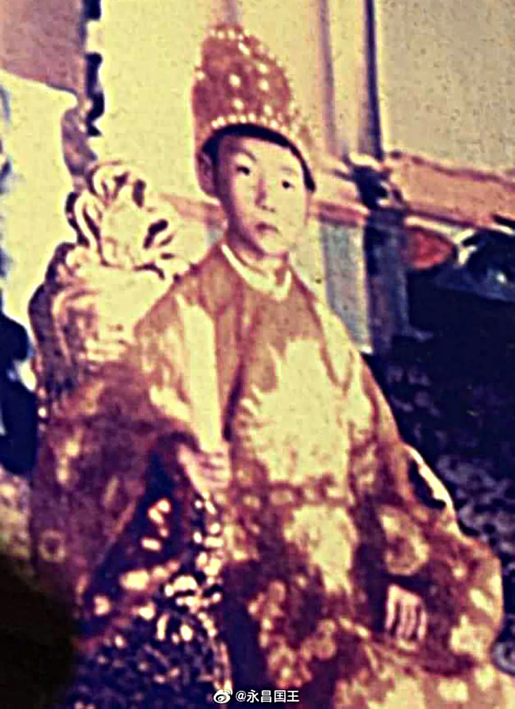 vi-vua-duy-nhat-viet-nam-mat-vi-tai-nan-may-bay-noi-1-cau-noi-tieng-3