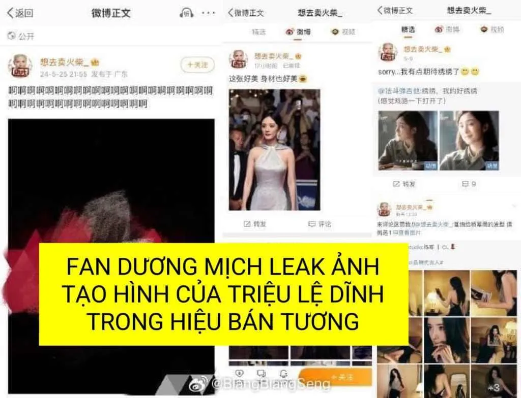 trieu-le-dinh-bi-leak-trong-tuong-vien-long-co-nguy-co-bi-cat-canh-2