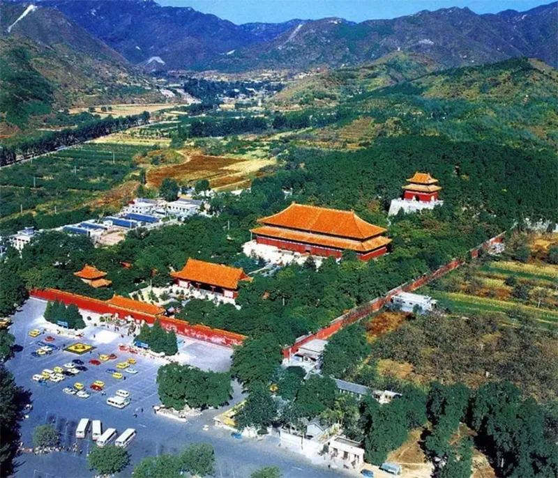 vi-sao-trom-mo-so-nhin-thay-cay-lieu-ben-canh-ngoi-mo-6