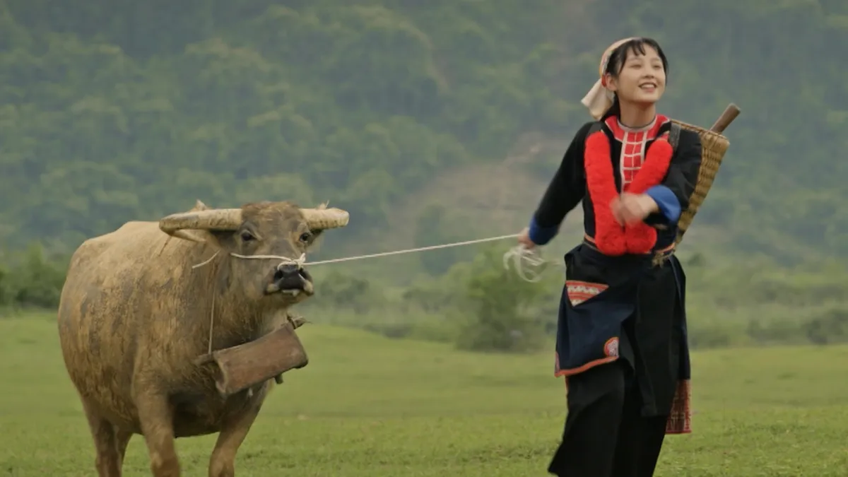 ly-giai-hien-tuong-pu--chai-gay-sot-coi-mang-hut-hon-trieu-view-2