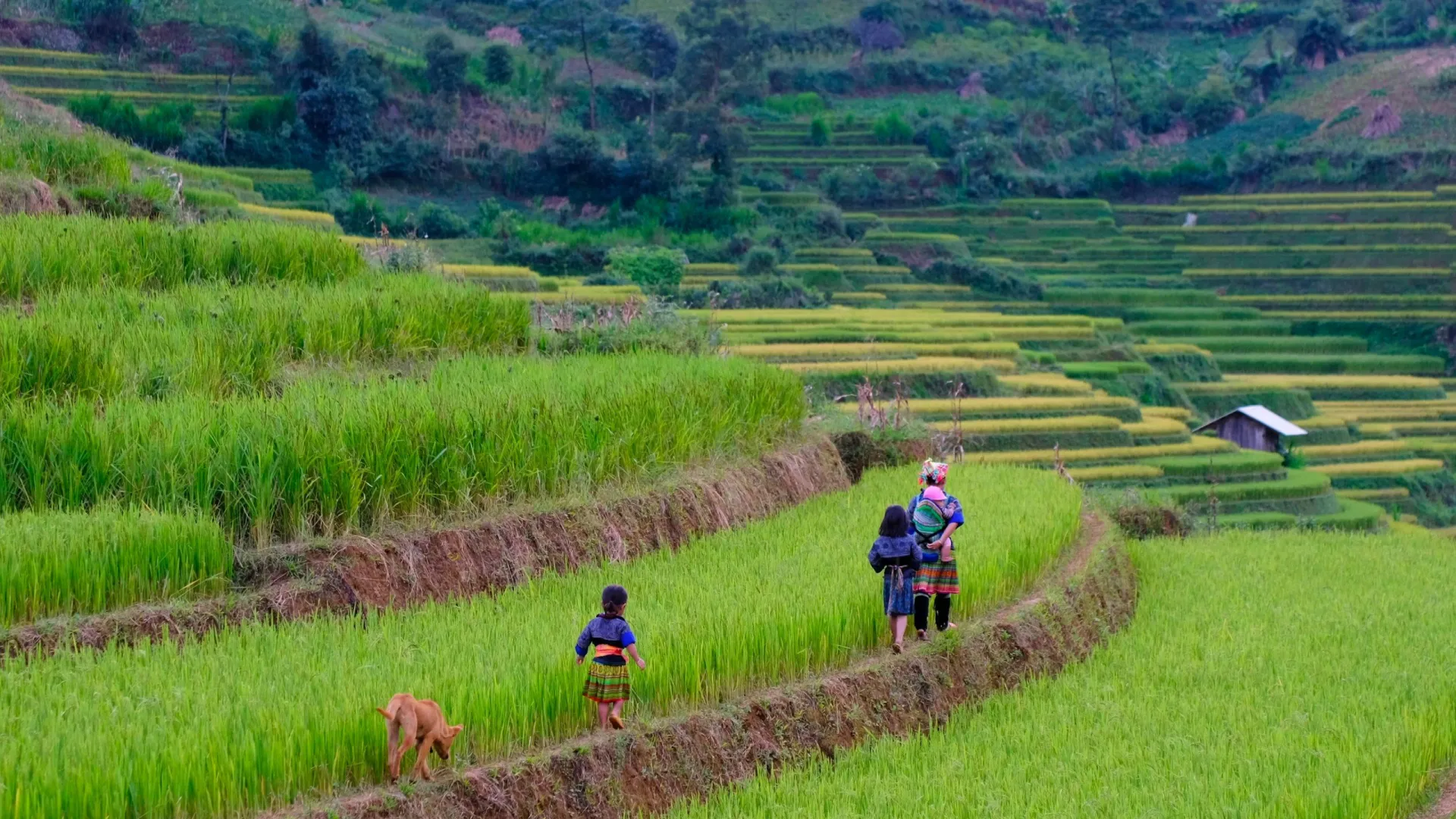 z4788683496652_e1dacf3e950b9468577c83c17f564f8a