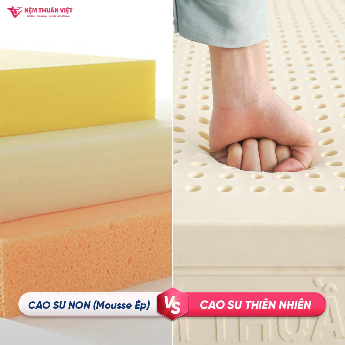 SS_ Mousse VS Cao Su TN