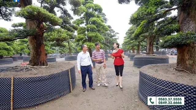 TCT-co-du-nang-luc-dap-ung-nhu-cau-cua-moi-doi-tac-khach-hang