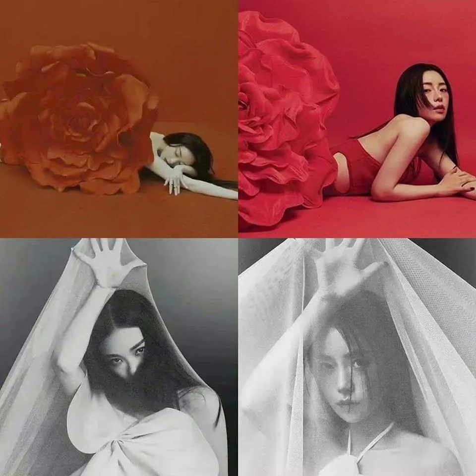 343753024_120450661028018_6570615345754780_n