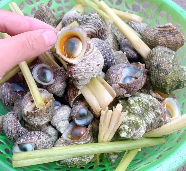 oc_mat_trang_luoc_54c770de7bb14e168896b182db5d8285_grande