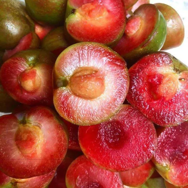 6bc14ca6fa87381ab6a2c12ba5db9920