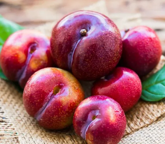 an-man-ha-noi-co-nong-khong