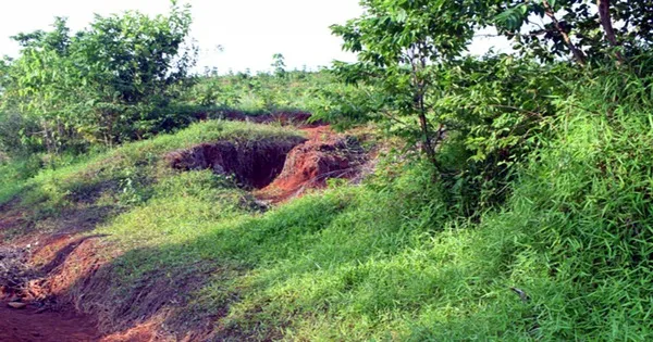 08B1933C-B5D1-4ED4-85A1-F9C967A67C46