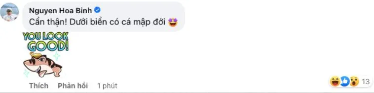 puhong-oanh-dap-tan-tin-don-mang-thai