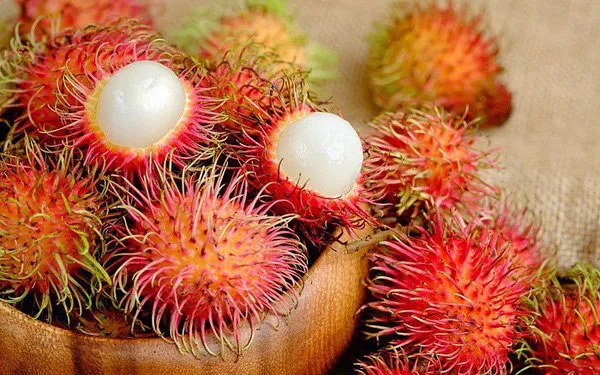 be-gai-5-tuoi-khong-qua-khoi-vi-hoc-hat-chom-chom-2