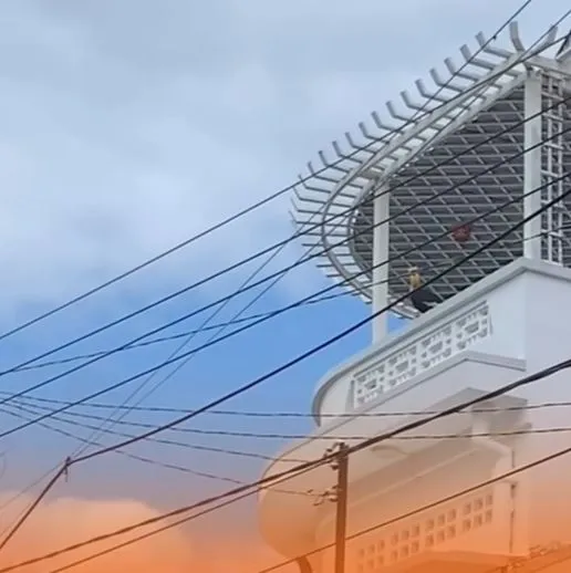 chim-hong-hoang-cuc-hiem-xuat-hien-can-nha-gap-hien-tuong-tam-linh