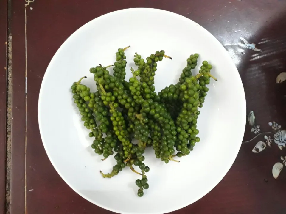 nhung-rau-cu-re-khac-tinh-chong-ung-thu-4