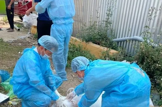 bi-cho-cao-xuoc-da-chu-quan-chu-nha-qua-doi