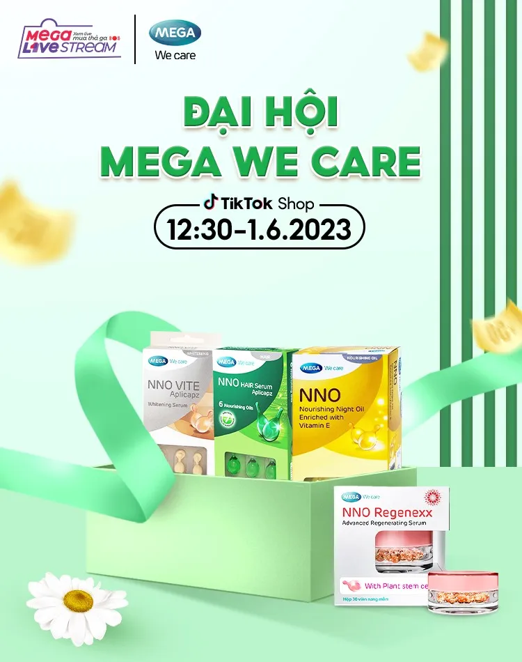 dai-hoi-mega-we-care