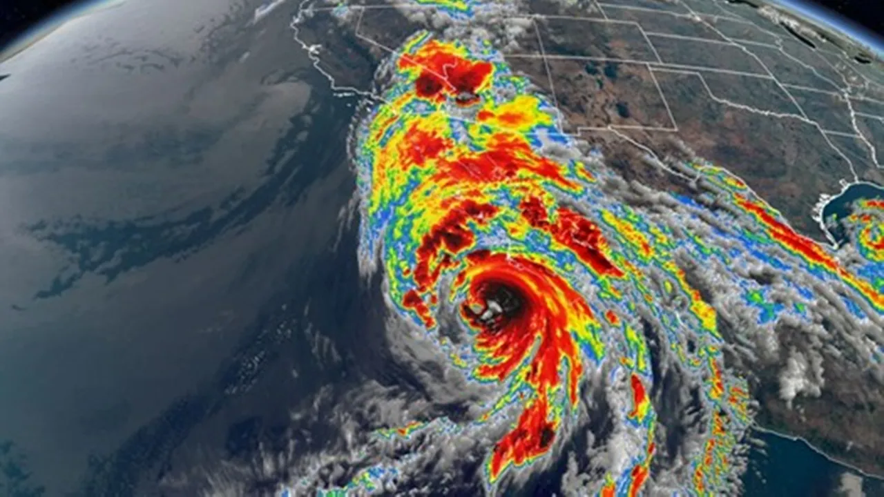 con-bao-84-nam-moi-co-mot-lan-sap-do-bo