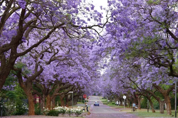 quoc-gia-duy-nhat-co-3-thu-do-2