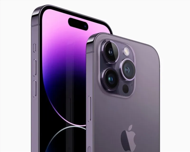 nguoi-phu-nu-can-dut-cap-chong-trom-2