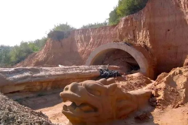 phat-hien-con-rong-369m-nguoi-dan-voi-bao-cao-1