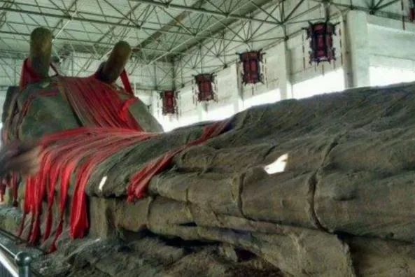 phat-hien-con-rong-369m-nguoi-dan-voi-bao-cao