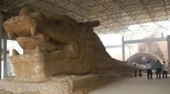 phat-hien-con-rong-369m-nguoi-dan-voi-bao-cao-2