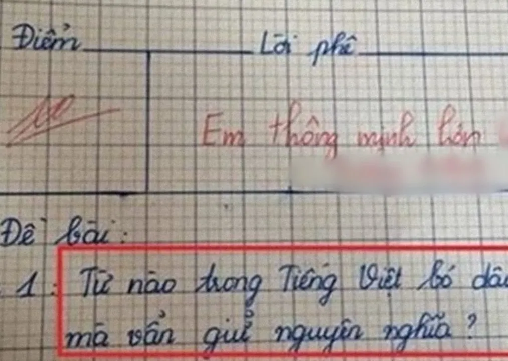 tu-nao-trong-tieng-viet-bo-dau-huyen-van-khong-doi-nghia-1