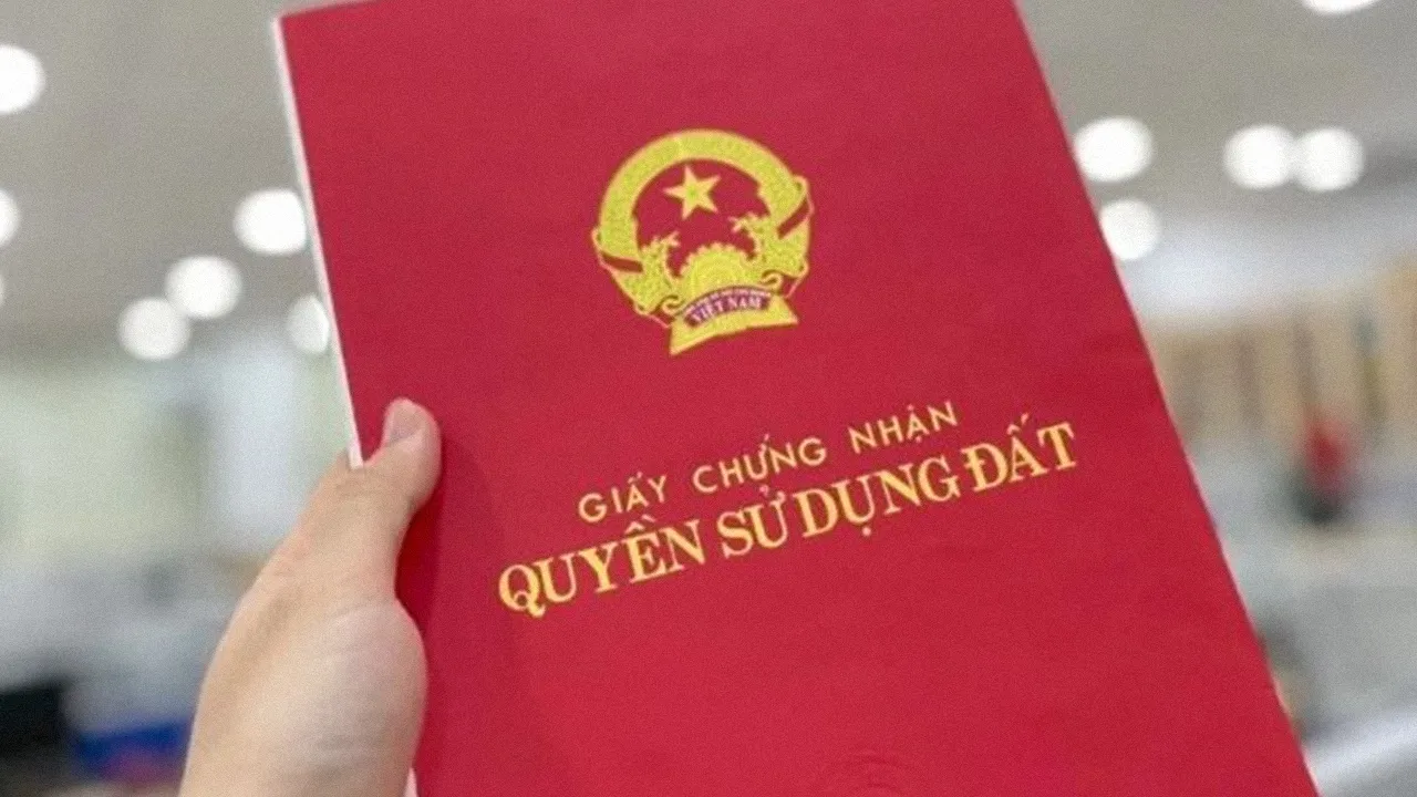 co-mot-chu-quan-trong-tren-so-do