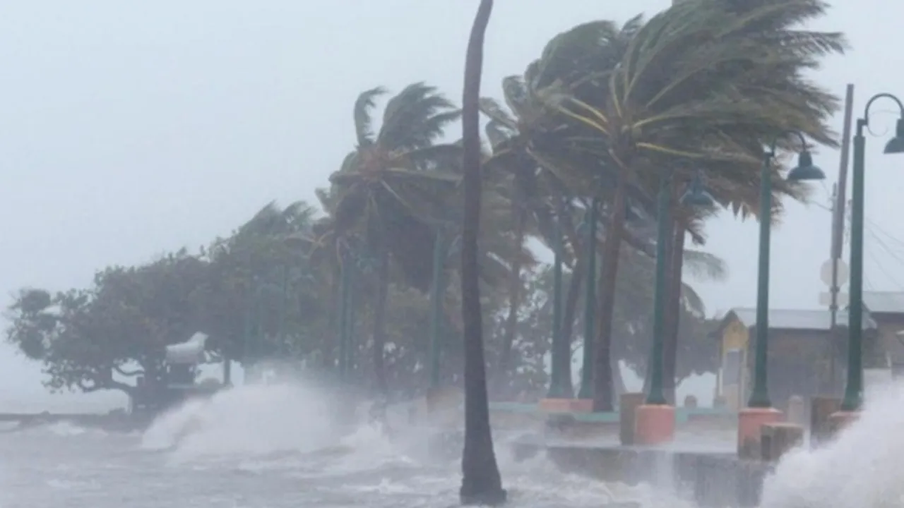 bao-so-5-dien-bien-bat-thuong